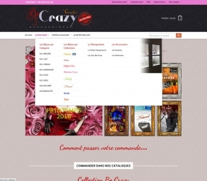 E.Commerce - Web Be Crazy